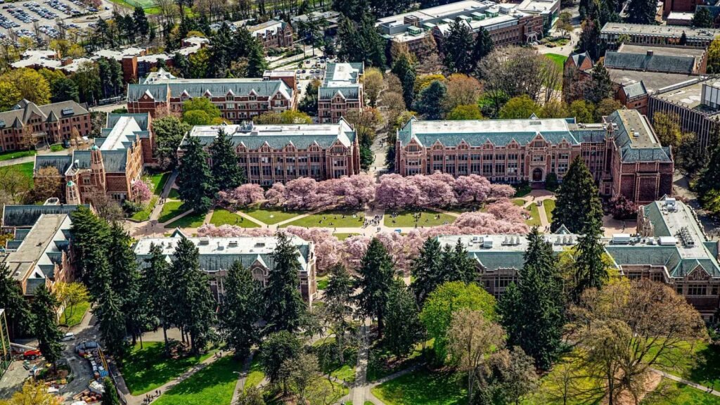 Tech Titan or Medical Maverick? Exploring Top Programs at UW